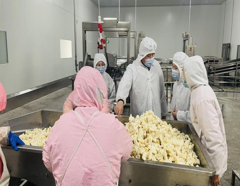 韓國三星項目負責人對我公司進行了蔬菜車間的年度審核