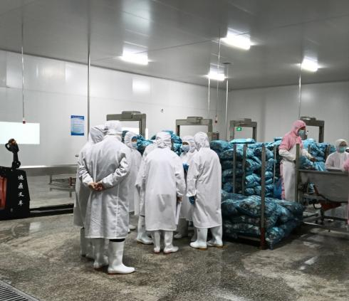 泰國(guó)TEE客戶到訪隆鑫健達(dá)分公司進(jìn)行驗(yàn)廠